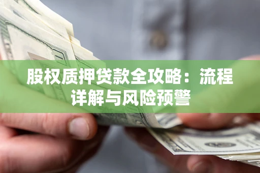 北京股权质押贷款全攻略：流程详解与风险预警