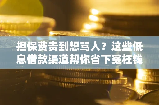 北京担保费贵到想骂人？这些低息借款渠道帮你省下冤枉钱
