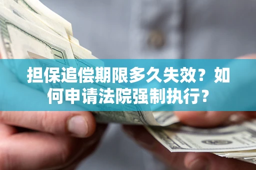 北京担保追偿期限多久失效？如何申请法院强制执行？