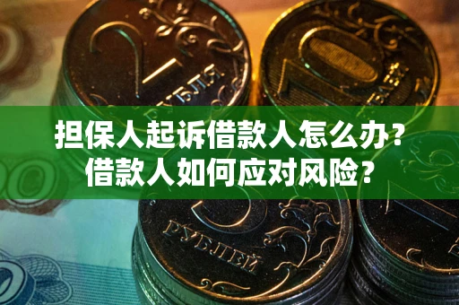 北京担保人起诉借款人怎么办？借款人如何应对风险？