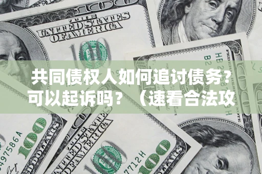 北京共同债权人如何追讨债务？可以起诉吗？（速看合法攻略）