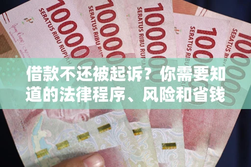 北京借款不还被起诉？你需要知道的法律程序、风险和省钱技巧